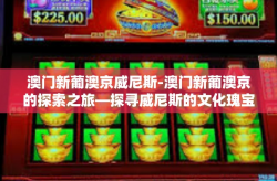 澳门新葡澳京威尼斯-澳门新葡澳京的探索之旅—探寻威尼斯的文化瑰宝-澳门新葡澳京威尼斯