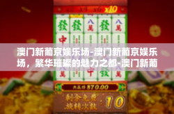 澳门新葡京娱乐场-澳门新葡京娱乐场，繁华璀璨的魅力之都-澳门新葡京娱乐场