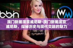 澳门新葡澳京威尼斯-澳门新葡澳京威尼斯，探秘历史与现代交融的魅力之城-澳门新葡澳京威尼斯