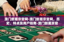 澳门新葡京官网-澳门新葡京官网，历史、特点及用户指南-澳门新葡京官网