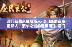澳门新葡京威尼斯人-澳门新葡京威尼斯人，繁华之城的璀璨明珠-澳门新葡京威尼斯人