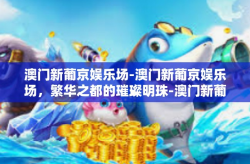 澳门新葡京娱乐场-澳门新葡京娱乐场，繁华之都的璀璨明珠-澳门新葡京娱乐场