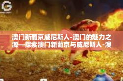 澳门新葡京威尼斯人-澳门的魅力之源—探索澳门新葡京与威尼斯人-澳门新葡京威尼斯人