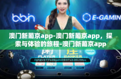 澳门新葡京app-澳门新葡京app，探索与体验的旅程-澳门新葡京app