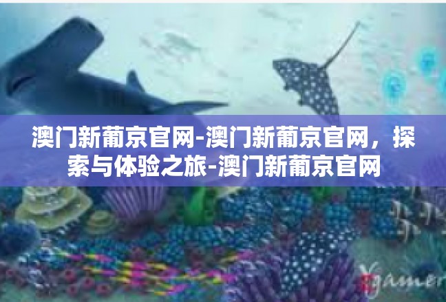 澳门新葡京官网-澳门新葡京官网，探索与体验之旅-澳门新葡京官网